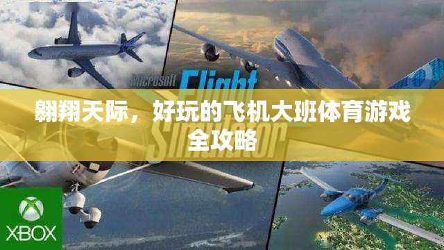 翱翔天際，大班兒童飛機(jī)體育游戲全攻略