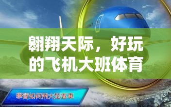 翱翔天際，大班兒童飛機(jī)體育游戲全攻略