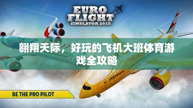 翱翔天際，大班兒童飛機(jī)體育游戲全攻略