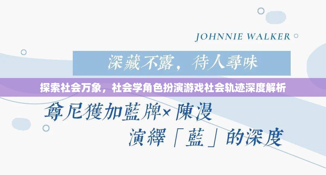 社會(huì)學(xué)角色扮演游戲，社會(huì)萬(wàn)象的深度探索與解析