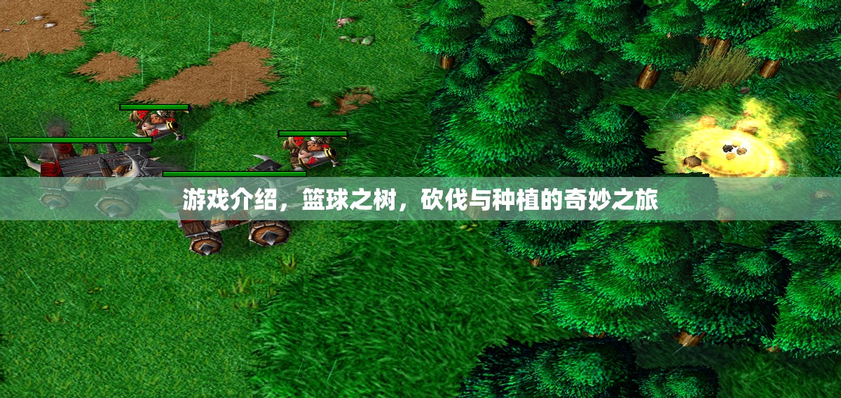 籃球之樹，砍伐與種植的奇妙籃球之旅