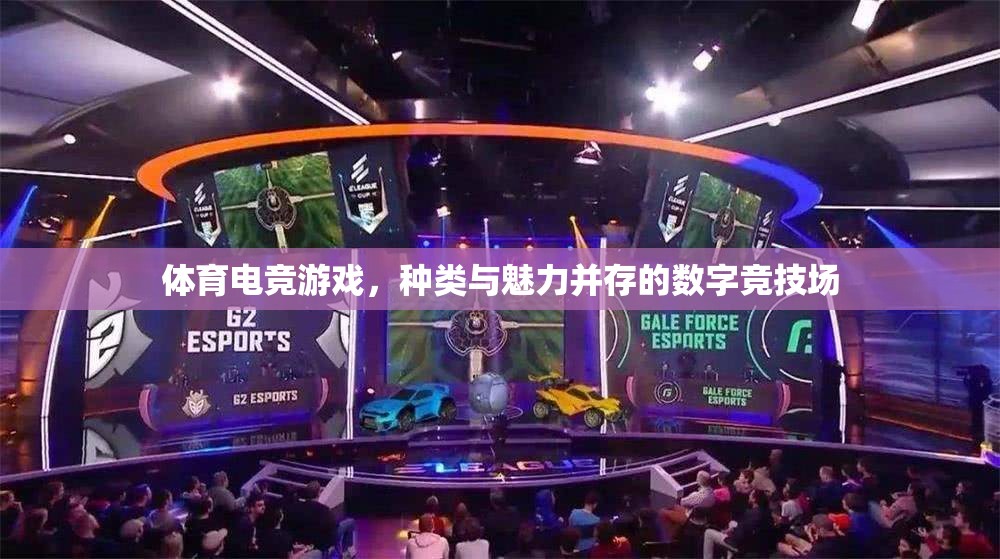 體育電競游戲，數(shù)字競技場中的魅力與多樣性