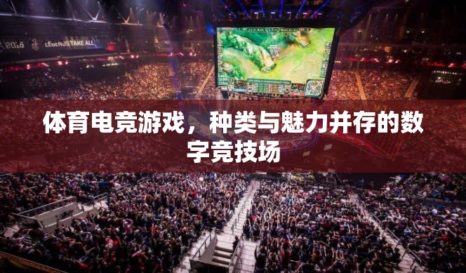 體育電競游戲，數(shù)字競技場中的魅力與多樣性