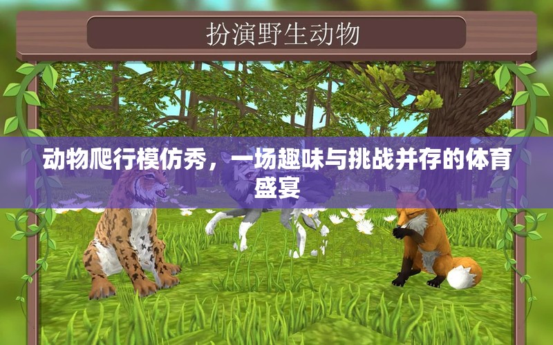 動(dòng)物爬行模仿秀，趣味與挑戰(zhàn)并存的體育盛宴