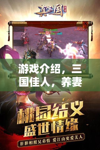 三國佳人中的養(yǎng)妻策略，打造你的后宮傳奇