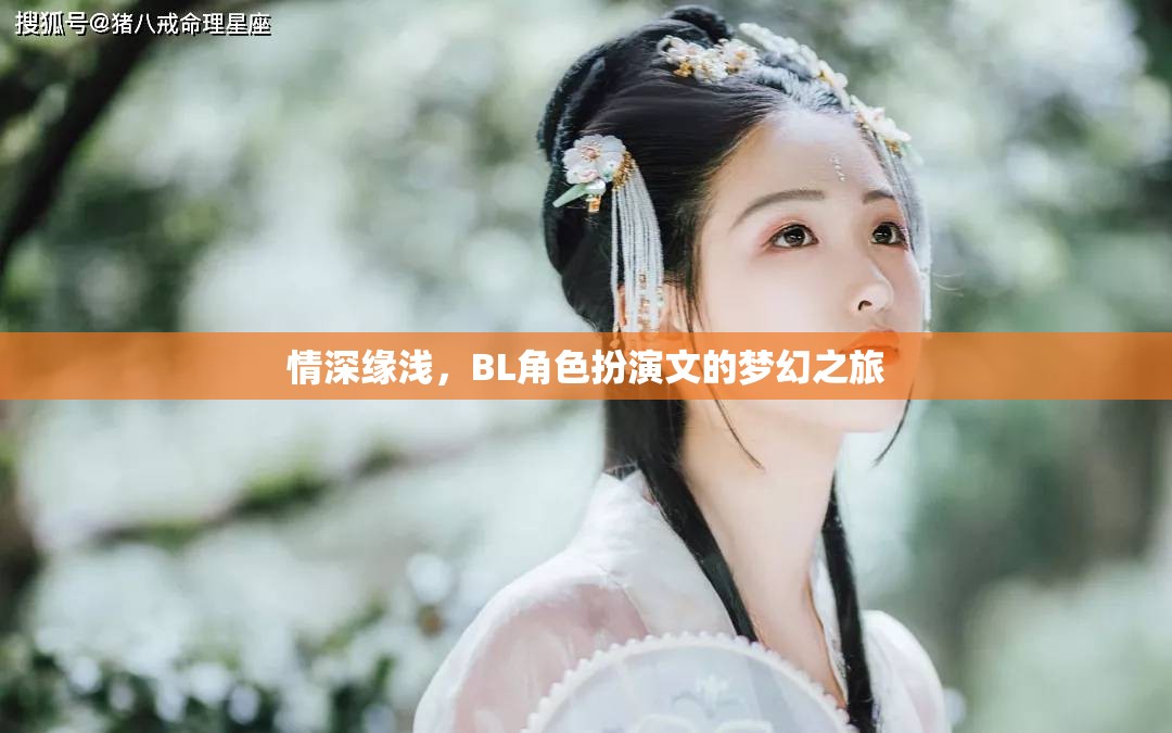 情深緣淺，BL角色扮演文的夢(mèng)幻之旅