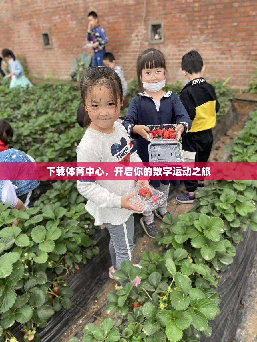 下載體育中心，開啟你的數(shù)字運(yùn)動(dòng)之旅