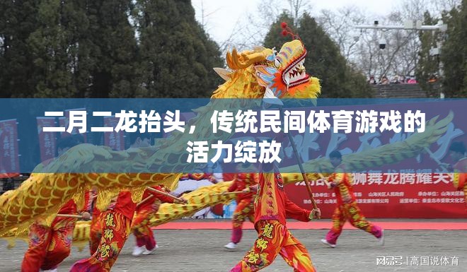 二月二龍?zhí)ь^，傳統(tǒng)民間體育游戲的活力綻放