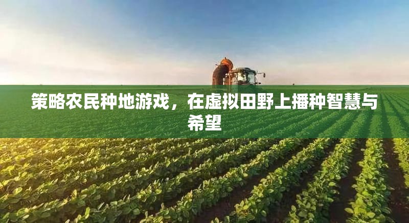 智慧田野，策略農(nóng)民種地游戲中的希望播種