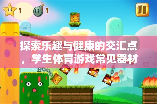 探索學(xué)生體育游戲器材的奇妙世界，樂趣與健康的交匯點(diǎn)