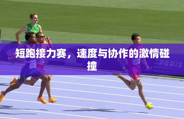 速度與協(xié)作的激情碰撞，短跑接力賽的精彩瞬間