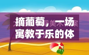 寓教于樂，以摘葡萄體育游戲為載體的教育反思