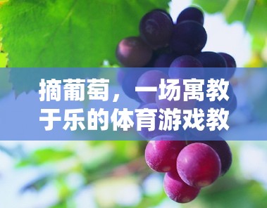寓教于樂(lè)，以摘葡萄體育游戲?yàn)檩d體的教育反思