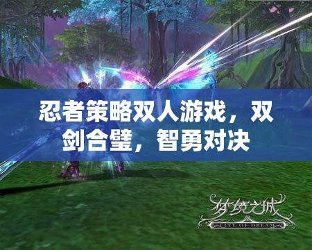 雙劍合璧，忍者策略雙人游戲的智勇對(duì)決