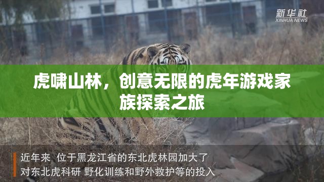 虎年創(chuàng)意之旅，游戲家族的探索與冒險(xiǎn)