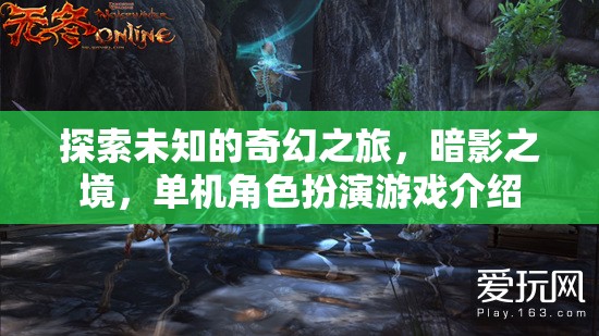 暗影之境，一場探索未知的奇幻單機(jī)角色扮演游戲之旅