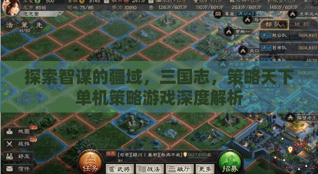智謀的疆域，三國(guó)志策略天下單機(jī)策略游戲深度解析