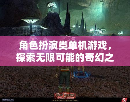 探索奇幻之旅，角色扮演類單機游戲的無限可能