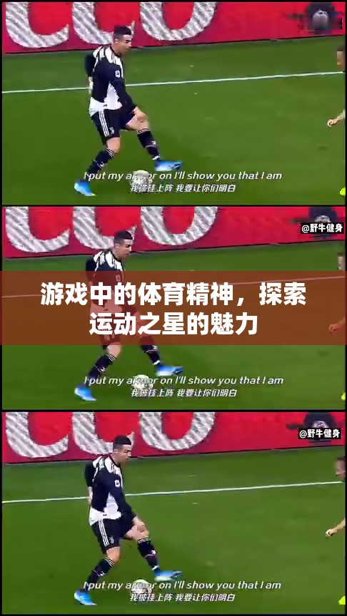 運(yùn)動(dòng)之星，探索游戲中的體育精神魅力
