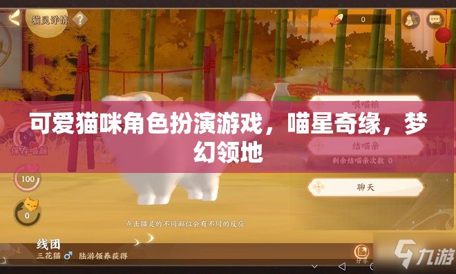 喵星奇緣，夢幻領(lǐng)地中的可愛貓咪角色扮演游戲