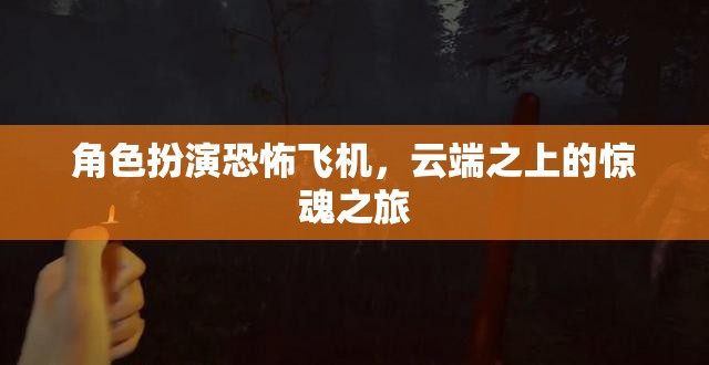 云端驚魂，恐怖飛機(jī)上的生存挑戰(zhàn)