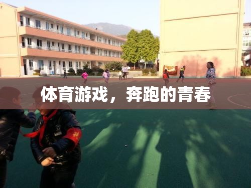 奔跑的青春，體育游戲中的激情與挑戰(zhàn)
