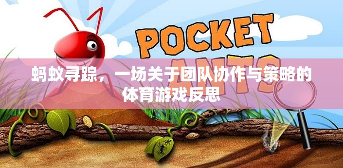 螞蟻尋蹤，團(tuán)隊(duì)協(xié)作與策略的體育游戲反思
