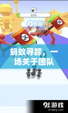 螞蟻尋蹤，團隊協(xié)作與策略的體育游戲反思