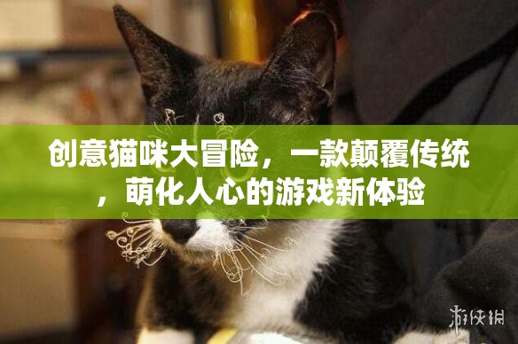 萌寵奇遇，創(chuàng)意貓咪大冒險的顛覆性游戲新體驗