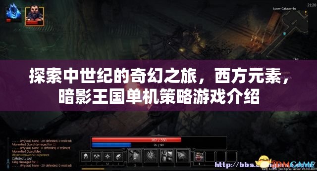 暗影王國(guó)，中世紀(jì)奇幻策略冒險(xiǎn)之旅