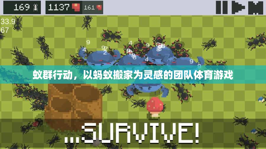 蟻群行動，以螞蟻搬家為靈感的團隊體育游戲
