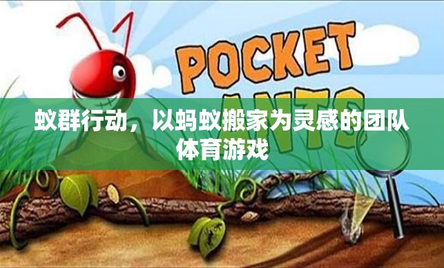 蟻群行動(dòng)，以螞蟻搬家為靈感的團(tuán)隊(duì)體育游戲