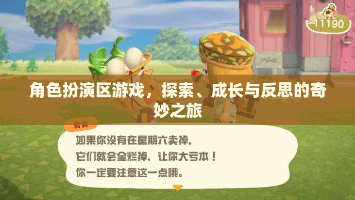 角色扮演區(qū)，探索、成長與反思的奇妙游戲之旅