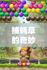 捕蠅草的奇妙冒險，開啟兒童體育新紀(jì)元