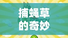 捕蠅草的奇妙冒險，兒童體育新紀(jì)元