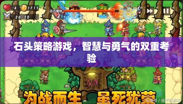 石頭策略，智慧與勇氣的雙重挑戰(zhàn)