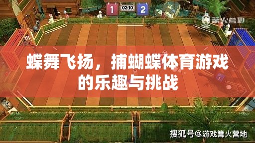 蝶舞飛揚(yáng)，捕蝴蝶體育游戲的樂趣與挑戰(zhàn)