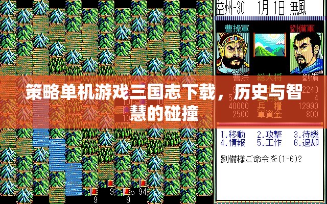 三國(guó)志策略單機(jī)游戲，歷史與智慧的激情碰撞