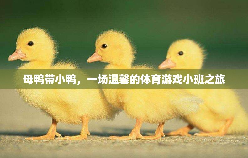 母鴨帶小鴨，一場溫馨的體育游戲小班之旅