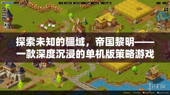 帝國(guó)黎明，探索未知的單機(jī)策略游戲之旅