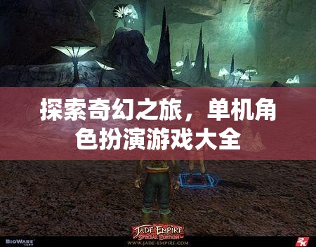 奇幻之旅，全面探索單機角色扮演游戲