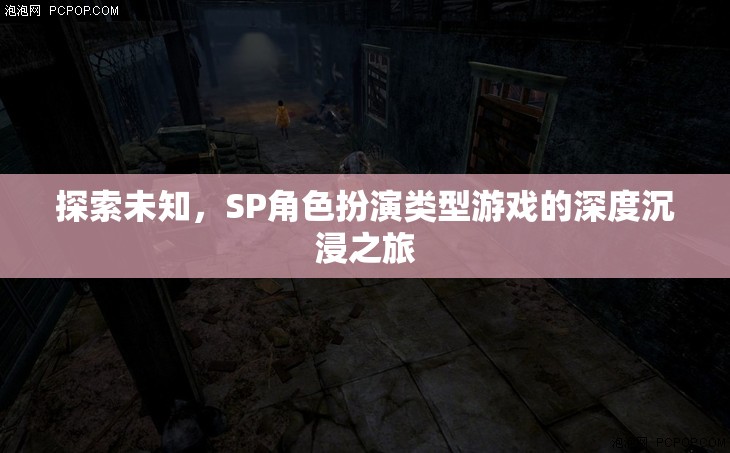 探索未知，SP角色扮演游戲的深度沉浸之旅
