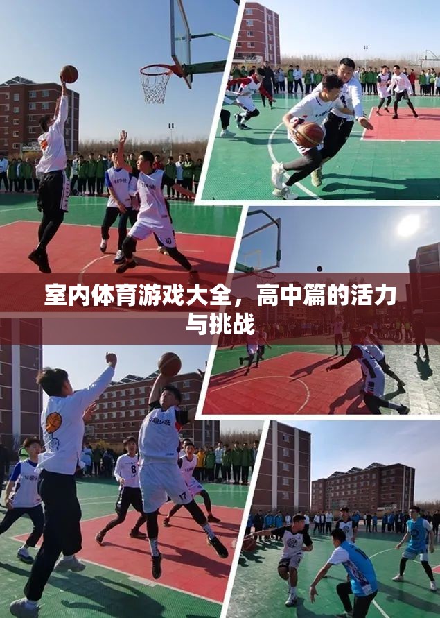 高中室內(nèi)體育游戲大全，活力與挑戰(zhàn)的完美融合