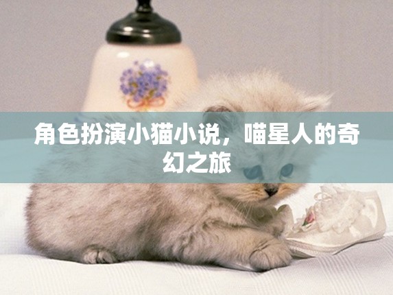 喵星奇緣，小貓的奇幻旅程