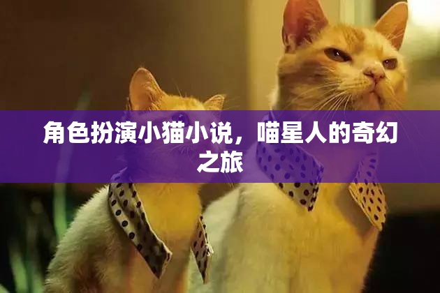 喵星奇緣，小貓的奇幻旅程