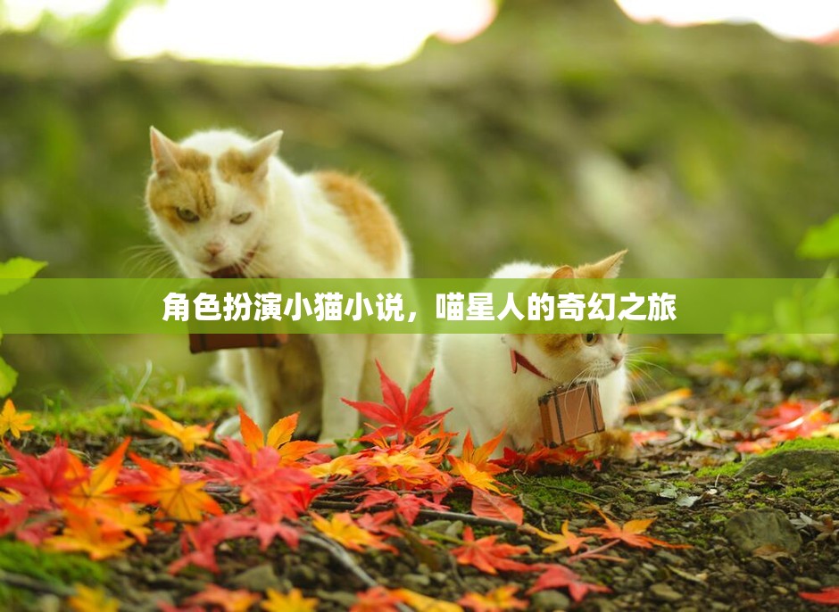 喵星奇緣，小貓的奇幻旅程