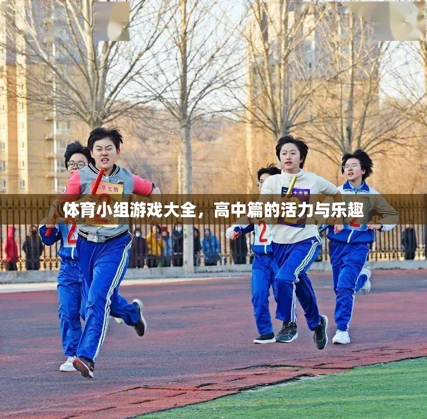 高中體育小組游戲大全，激發(fā)活力與樂趣的創(chuàng)意集錦