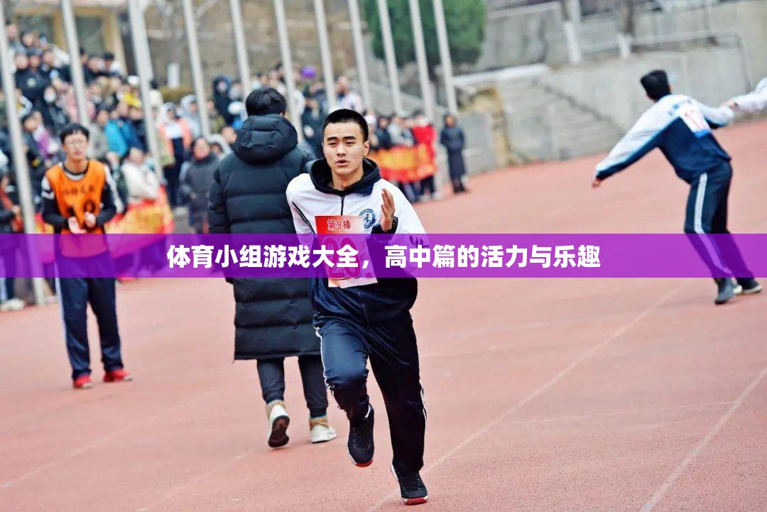 高中體育小組游戲大全，激發(fā)活力與樂趣的創(chuàng)意集錦