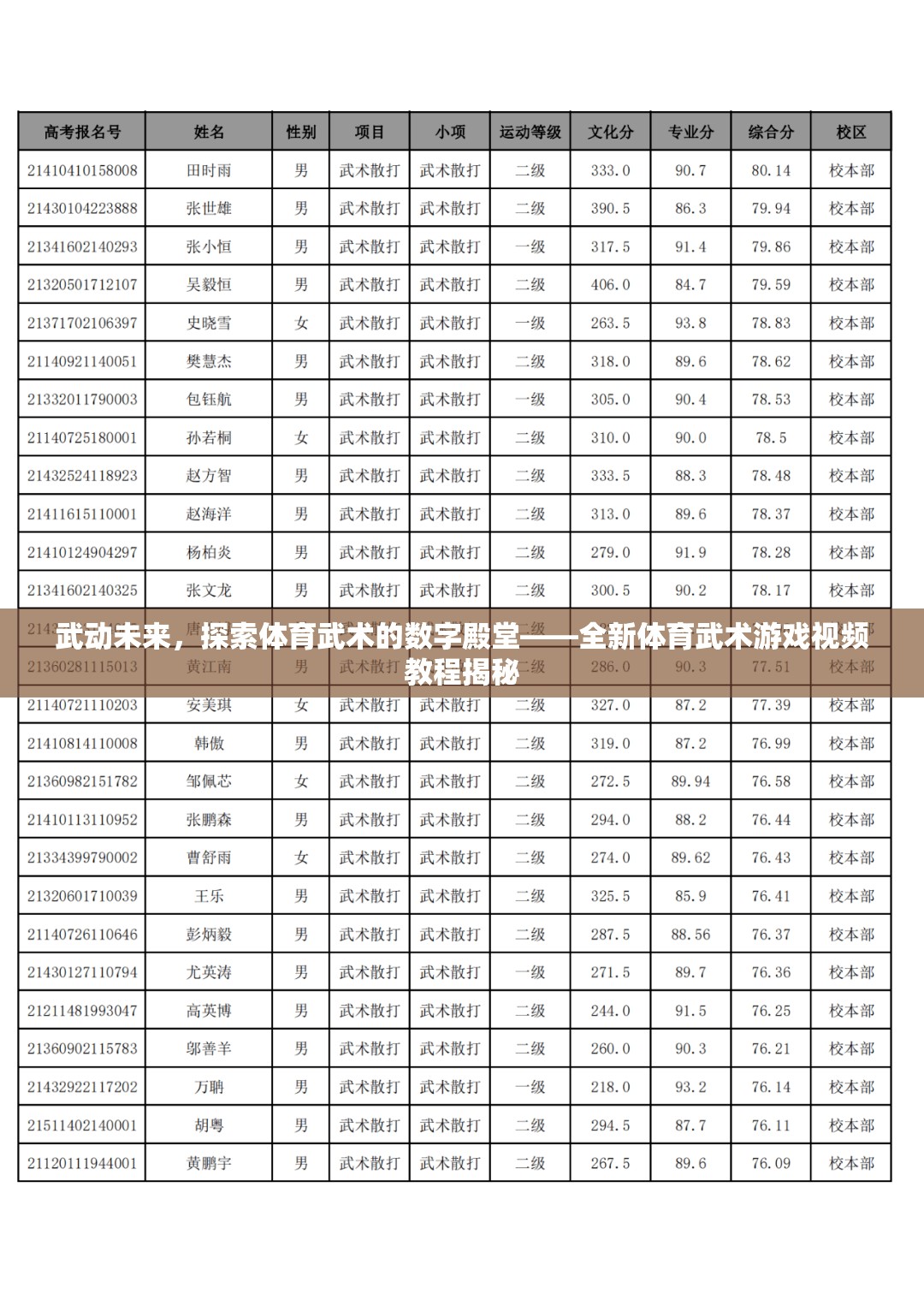 武動未來，探索體育武術(shù)的數(shù)字殿堂——全新體育武術(shù)游戲視頻教程揭秘