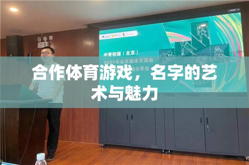 合作體育游戲，名字的藝術(shù)與魅力